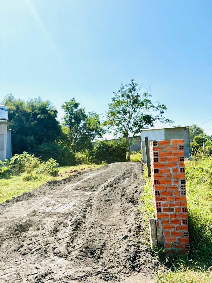 Đất nền Hẻm 32 Trần Phú, Tây Ninh 130m² - Sổ đỏ chính chủ