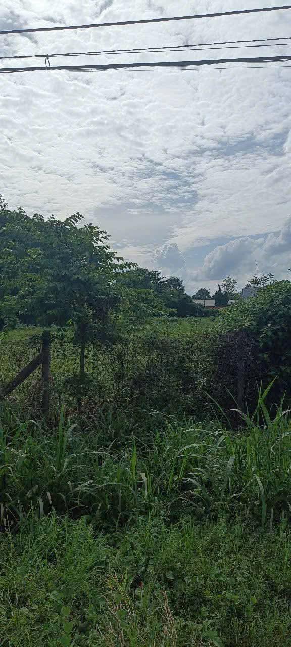 Đất nền Nguyễn Lương Bằng, Hòa Thành 3531m² - Mặt tiền kinh doanh đắc địa!