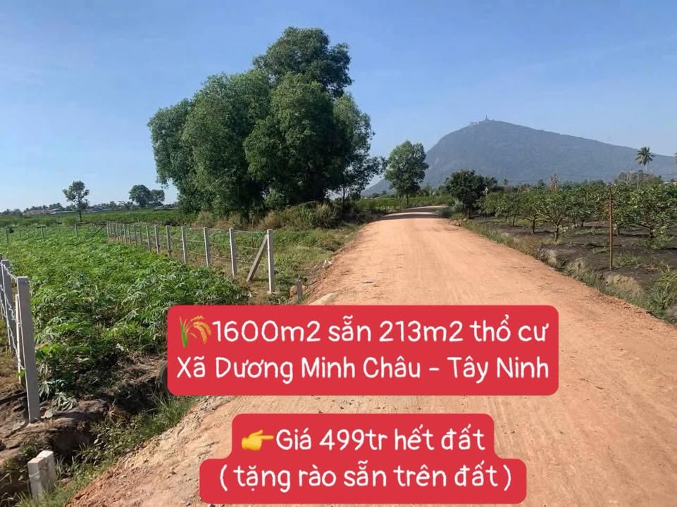 Đất nền Dương Minh Châu, Tây Ninh 1600m² – Tiềm năng tăng giá vượt trội!