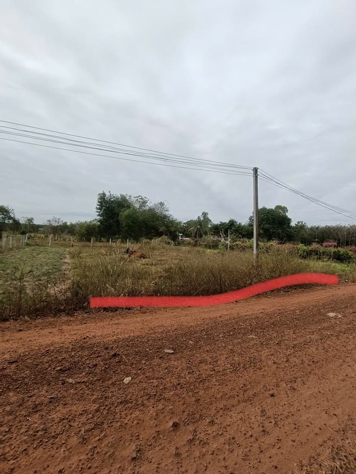 Đất nền Thị trấn Châu Thành 135m² 175 triệu - Sổ đỏ chính chủ!