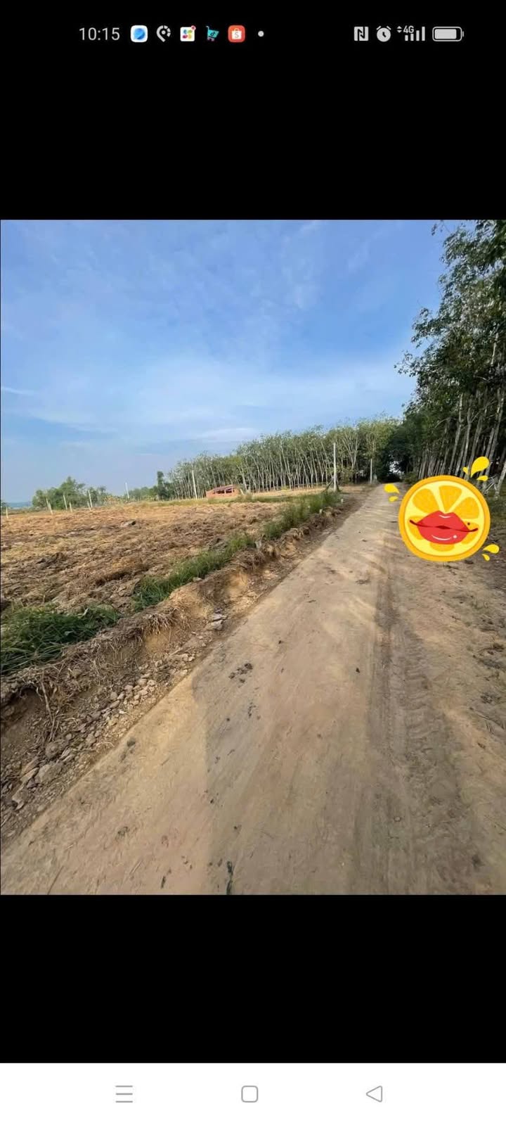 Đất nền Ấp Vịnh An Cơ Tây Ninh 210m² - Giá 165 triệu, xây dựng tự do!