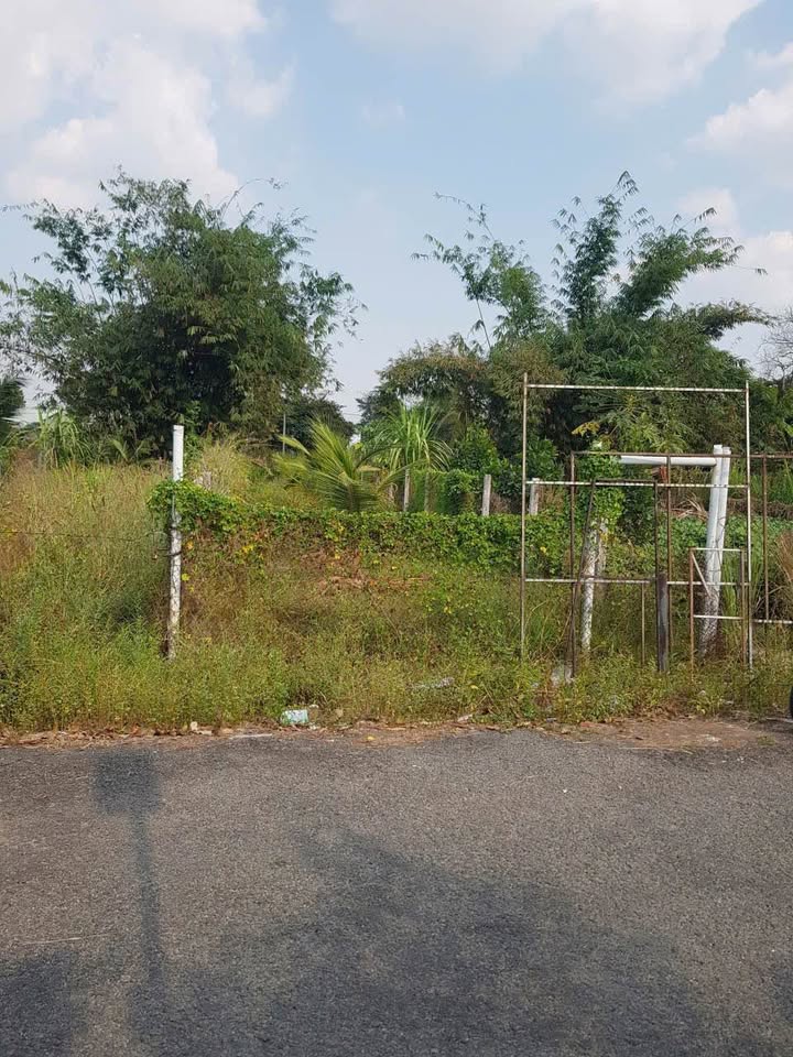 Đất nền 145m² Tây Ninh - Sổ đỏ chính chủ, mặt tiền 10m!