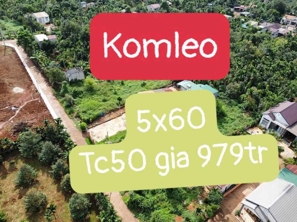 Đất nền Tân Lập, BMT 300m² giá 979 triệu - Đường to ô tô!