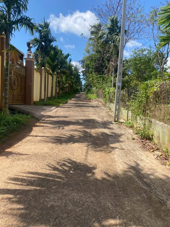 Đất nền Hòa Thắng BMT 101m² giá 879 triệu - Sổ đỏ chính chủ