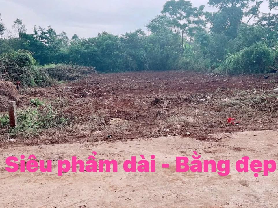 Đất nền Hòa Thắng Buôn Ma Thuột 300m² 1,5 tỷ - Sổ đỏ chính chủ