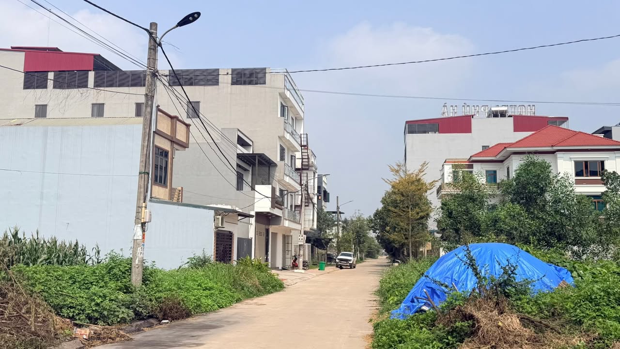 Đất Nền Vị Trí Vàng CL29 Đường 35, Phú Thọ - 115m² Sổ Hồng Sẵn Sàng