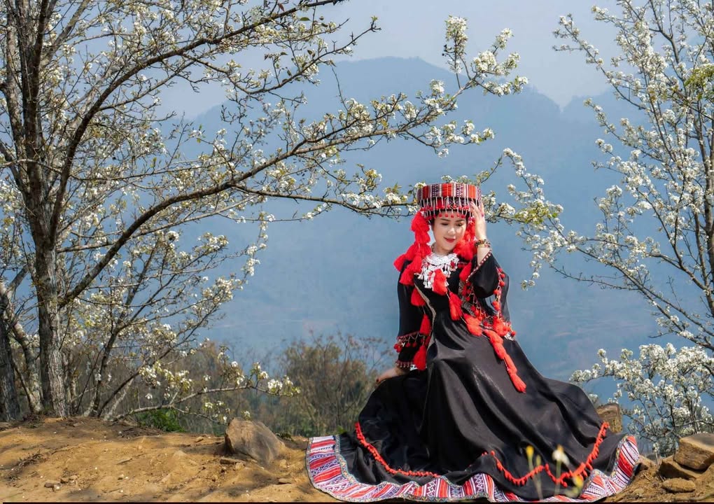 Đất vườn Bản Phiêng Phụ B 6000m² 900tr - Sinh thái xanh