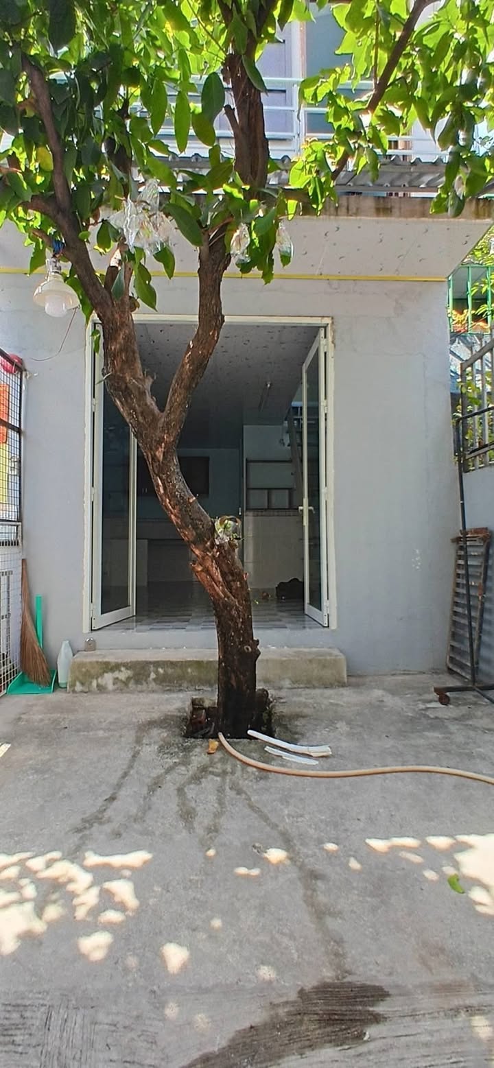 Nhà nguyên căn Gò Vấp 52m² giá 11 triệu - Sẵn sàng ở ngay!