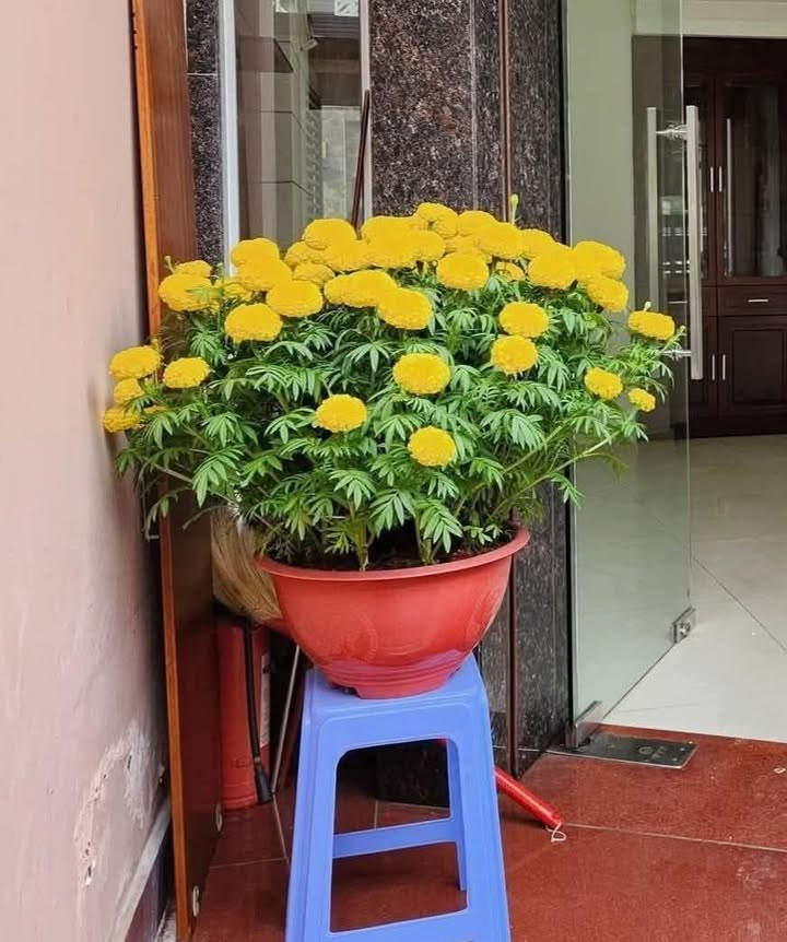 Nhà riêng Hẻm HT45 Q12 48m² chỉ 3 triệu - Sẵn sàng ở ngay!