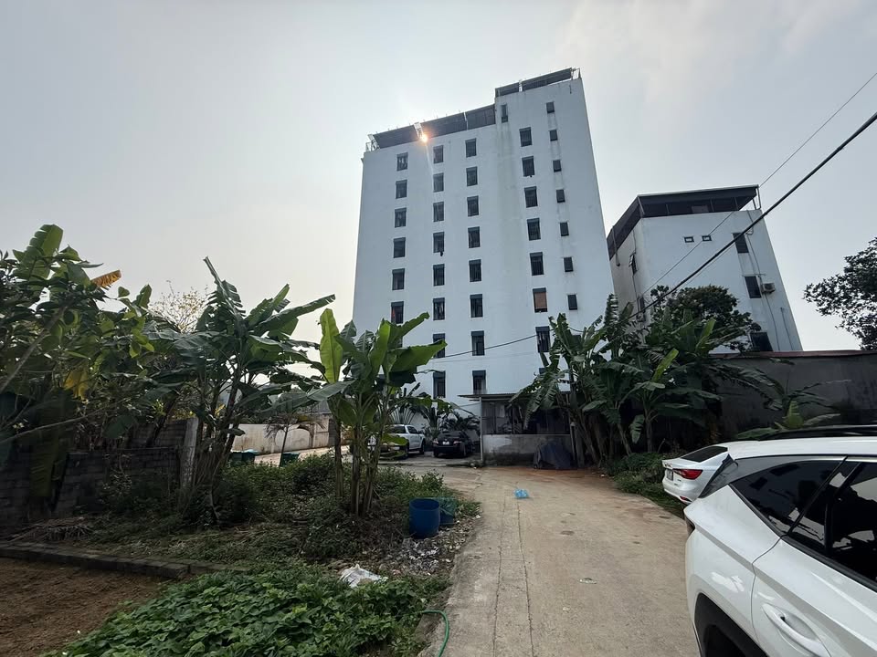 Đất Thổ Cư 60m² Thạch Thất - Giá 2 Tỷ, Sẵn Sổ, Kinh Doanh Trọ Tốt