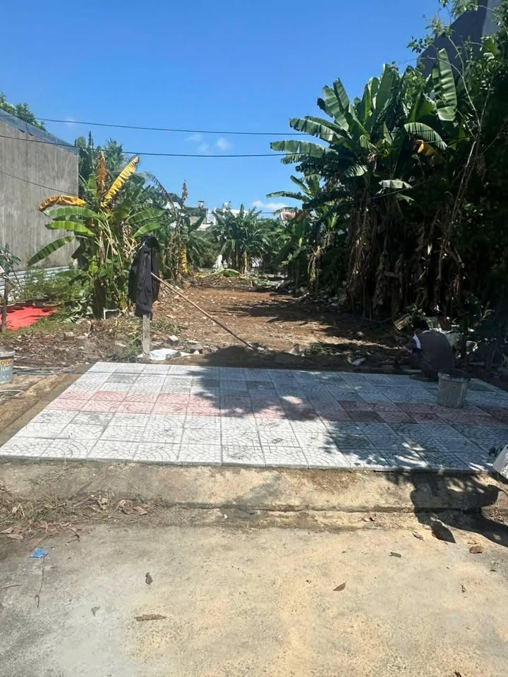 Bán Đất Tùng Lâm Sơn Trà 100m² - Sổ Đỏ Chính Chủ, Sát Công Viên