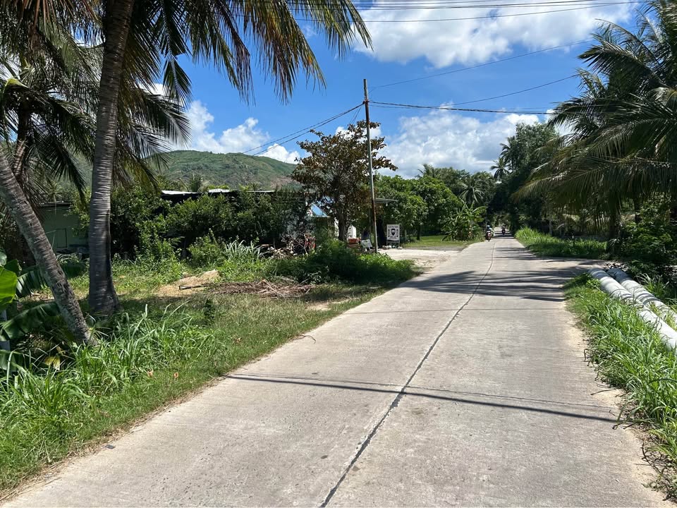 Bán Đất Lệ Uyên Sông Cầu 551m² - Sổ Đỏ Chính Chủ - Giá Chỉ 1 Tỷ