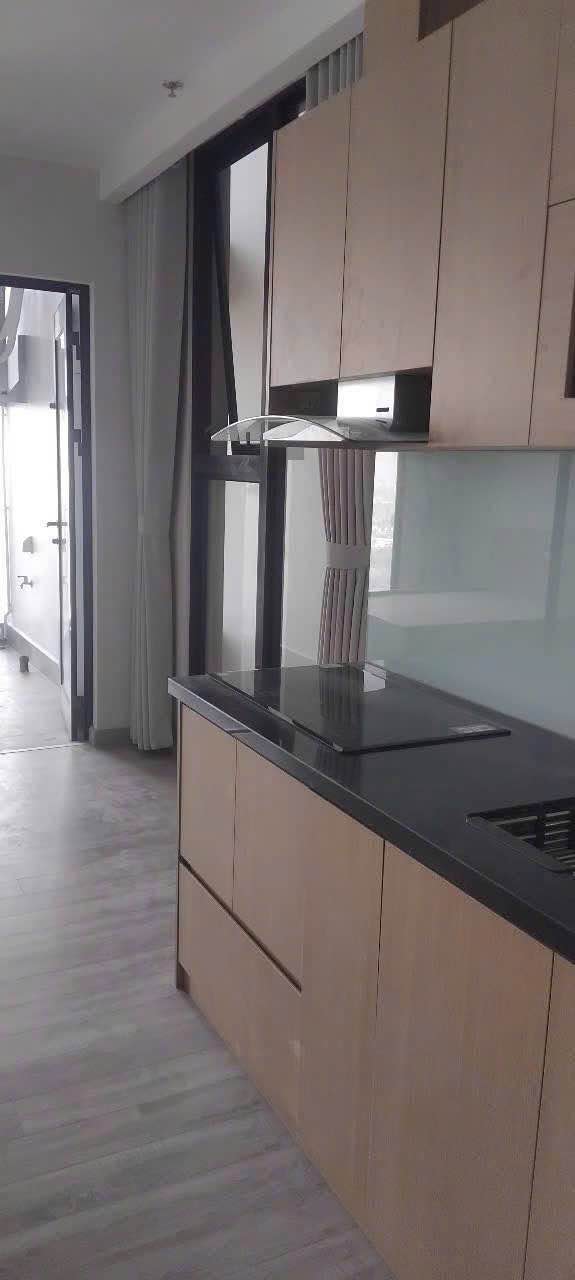 Cho thuê căn hộ 1PN Sky Forest Ecopark - View Đảo Xanh Mát