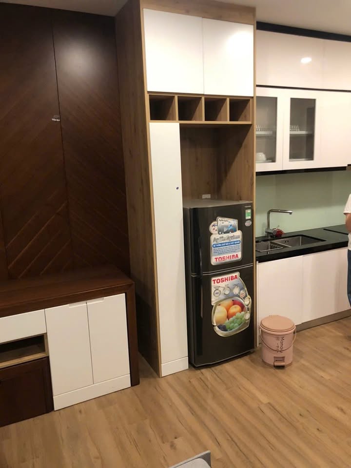 Căn hộ Studio Skyoasis Ecopark 5 triệu - Bàn giao ngay!