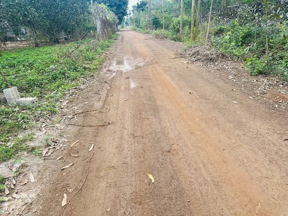 Đất nền Yên Trị, Cẩm Khê 516m² – Sổ đỏ chính chủ!