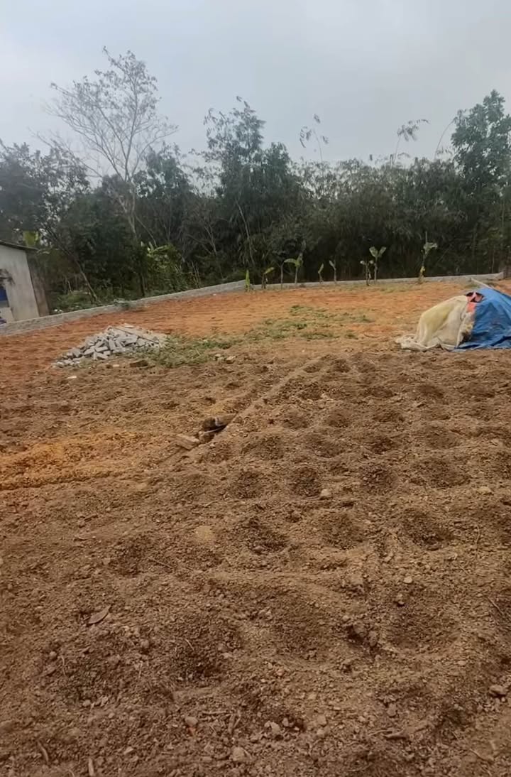 Đất nền Trung Giã Sóc Sơn 423m² hơn 3 tỷ - Sổ đỏ chính chủ!