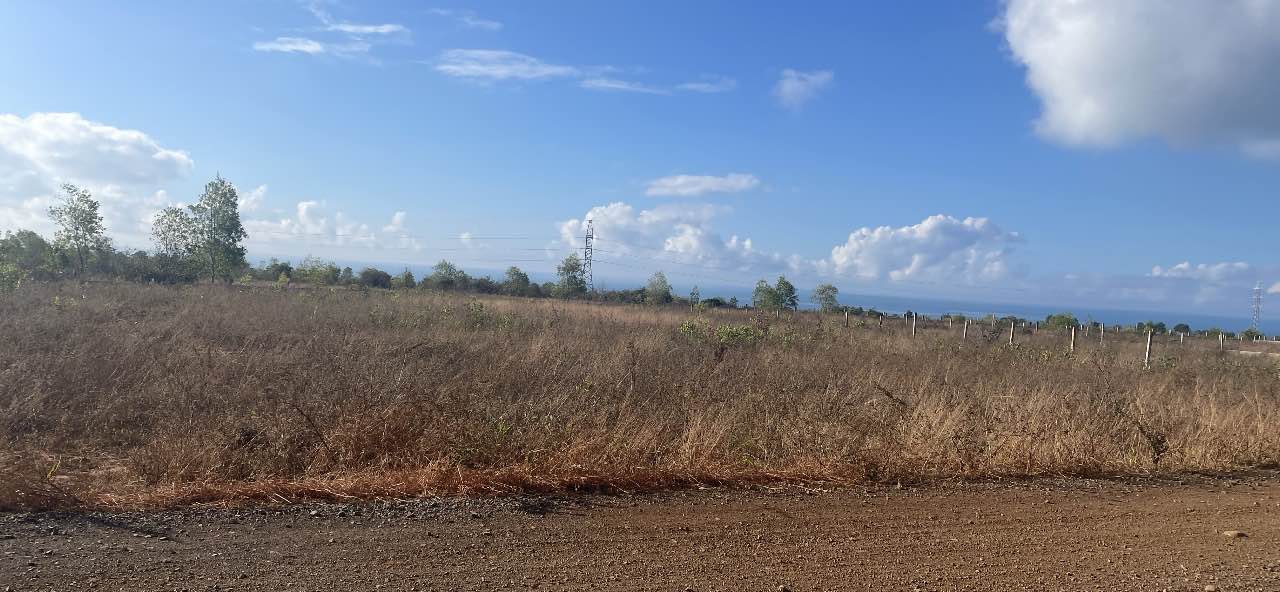 Đất nền Phan Thiết 1000m² thỏa thuận - Sổ đỏ chính chủ