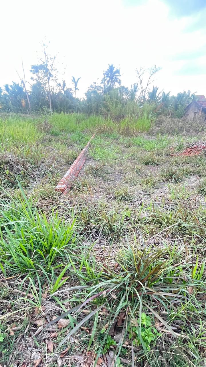 Đất nền Thị trấn Phước An 160m² - Giá tốt hiếm có!