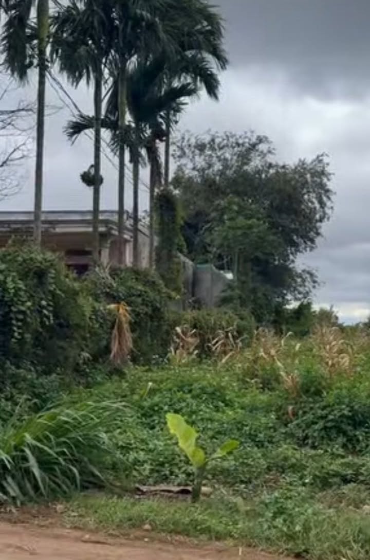 Đất nền Phước Trạch, Krông Năng 540m² - Tiềm năng tăng giá vượt trội!