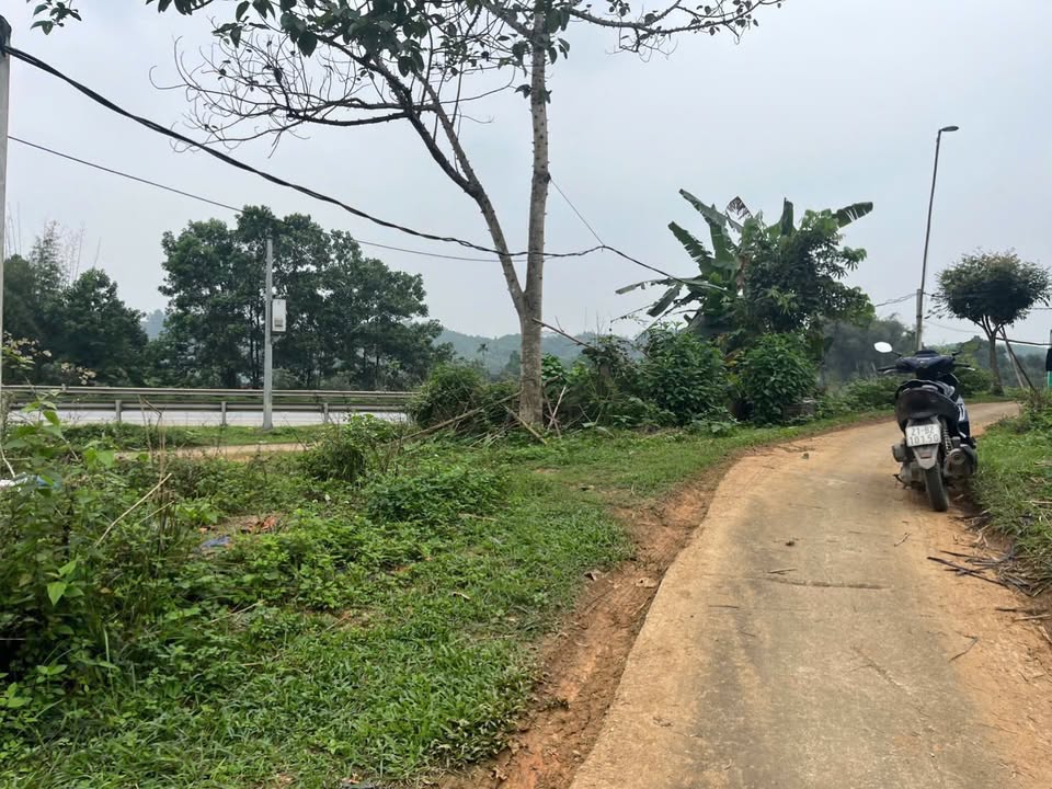 Đất nền Âu Lâu, Yên Bái 192m² - Sổ đỏ chính chủ, giá đầu tư tốt!