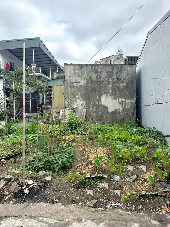 Đất nền Hà Lầm, Hạ Long 80m² giá 1 tỷ - Sổ đỏ chính chủ!