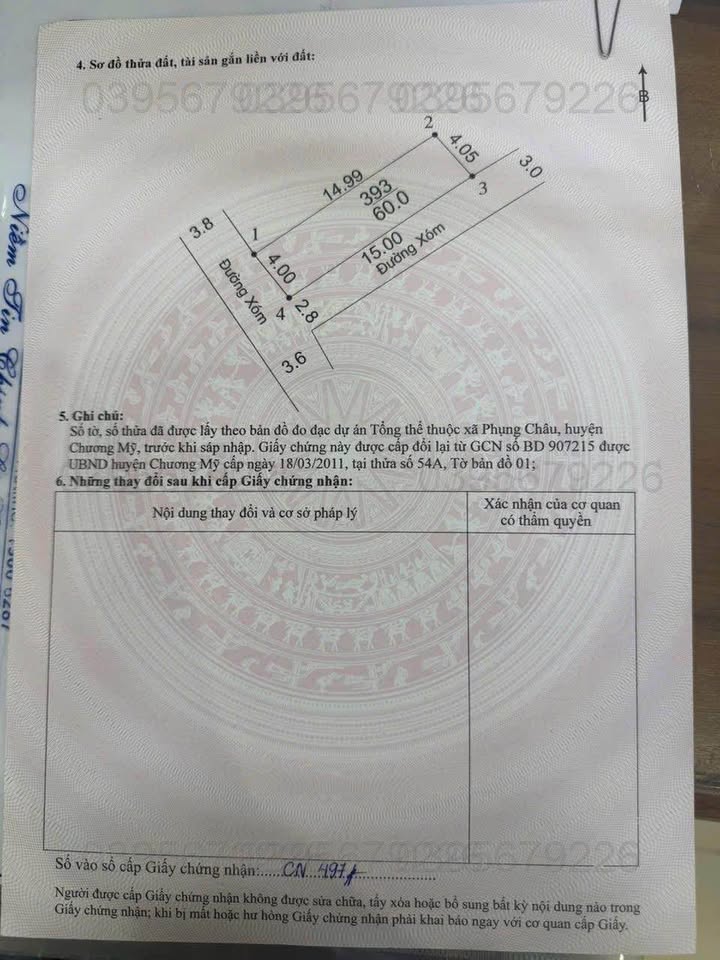 Đất Lô Góc Phụng Châu, Chương Mỹ 60m² - Full Thổ Cư, Sẵn Sàng Xây Dựng