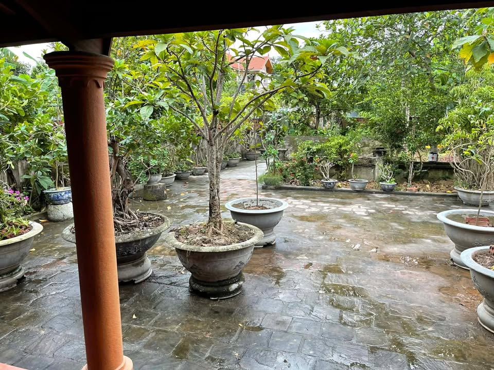 Đất Thủy Nguyên 816m² - Sổ Hồng Chính Chủ, Sát VSIP, Giá Đầu Tư