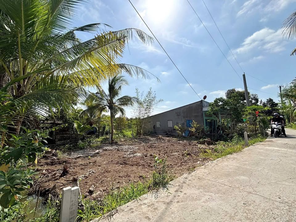 Bán Đất Thổ Cư Phong Điền Cần Thơ 81m² - Lộ Ô Tô Tới Nền