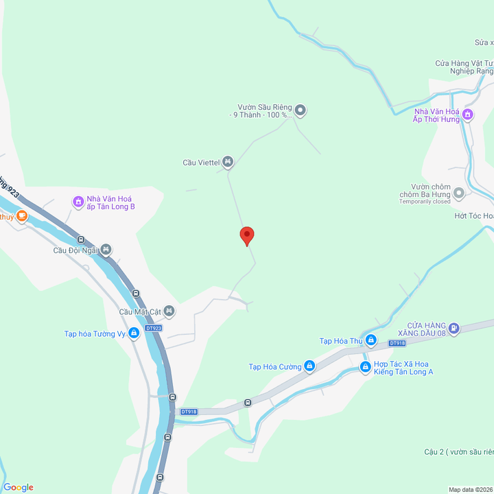 Bán Gấp Vườn Sầu Riêng Ri6 Cần Thơ - 2224m² Sổ Hồng, Thu Hoạch Tốt