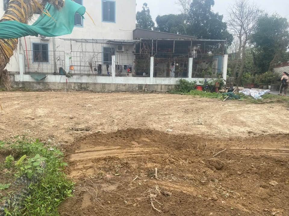 Đất nền Nghi Thái, Nghi Lộc 93m² - Tiềm năng tăng giá vượt trội!