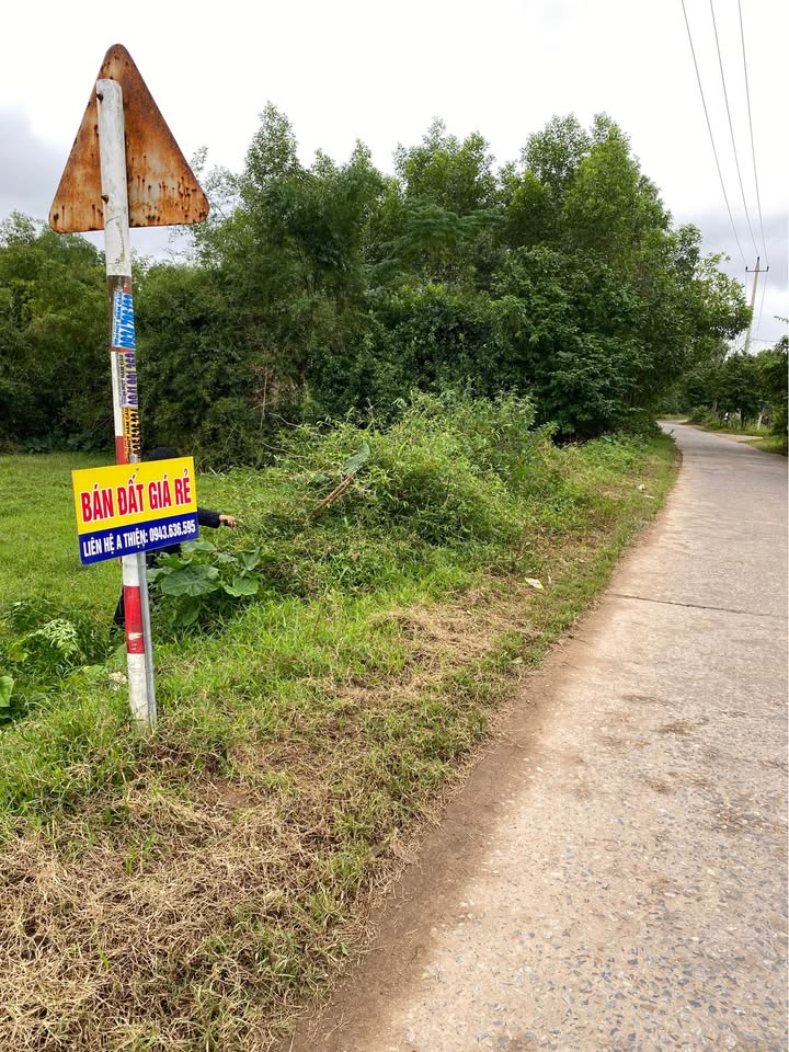 Đất Vườn 580m² Giá Rẻ Hơn 400 Triệu Tại KĐT Bắc Thành Cổ, Quảng Trị