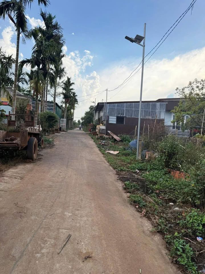 Đất Vàng Huyện Krông Năng, Đắk Lắk - 245m² Thổ Cư, Giá 34.3 Tỷ - Cơ Hội Đầu Tư Sinh Lời