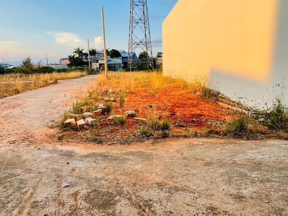 Đất nền Hàm Liêm 100m² giá 990 triệu - Tiềm năng tăng giá vượt trội!