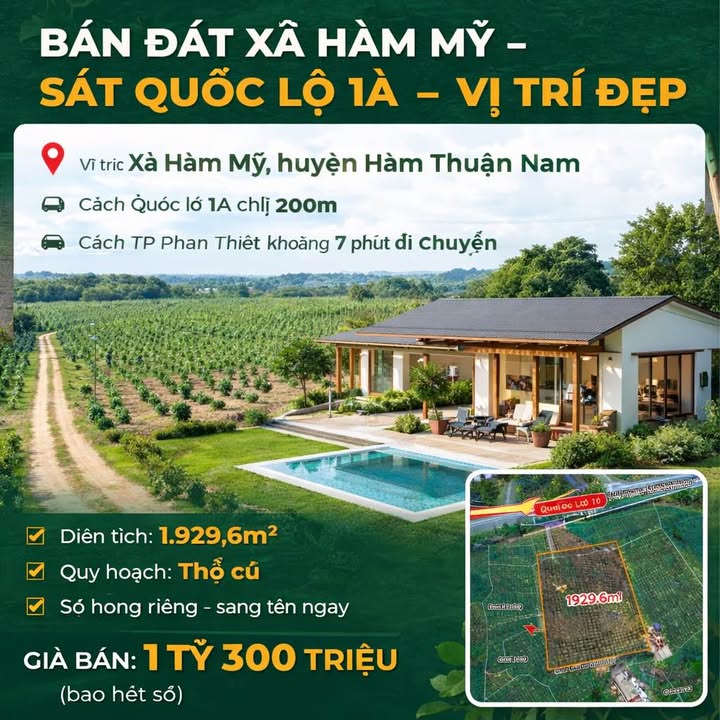 Đất nền Hàm Mỹ Hàm Thuận Nam 1.929m² 1,3 tỷ - Sổ đỏ chính chủ