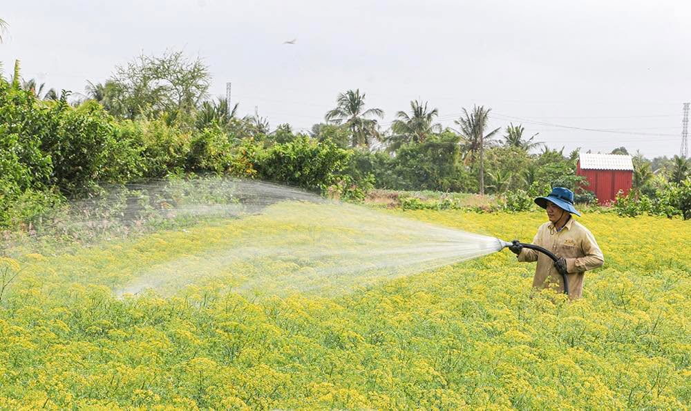 Đất Vườn Hàm Thuận Bắc - 1020m² Sổ Hồng Riêng, Giá Tốt 960 Triệu