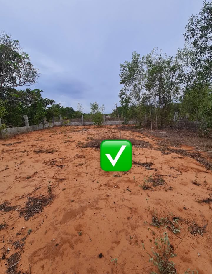 Đất Vàng 1000m² Phú Tài, Phan Thiết - Sổ Đỏ Sẵn Sàng - Giá F0 1.75 Tỷ