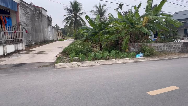 Đất nền Tân Hưng Vĩnh Bảo 122m² - Sổ đỏ chính chủ