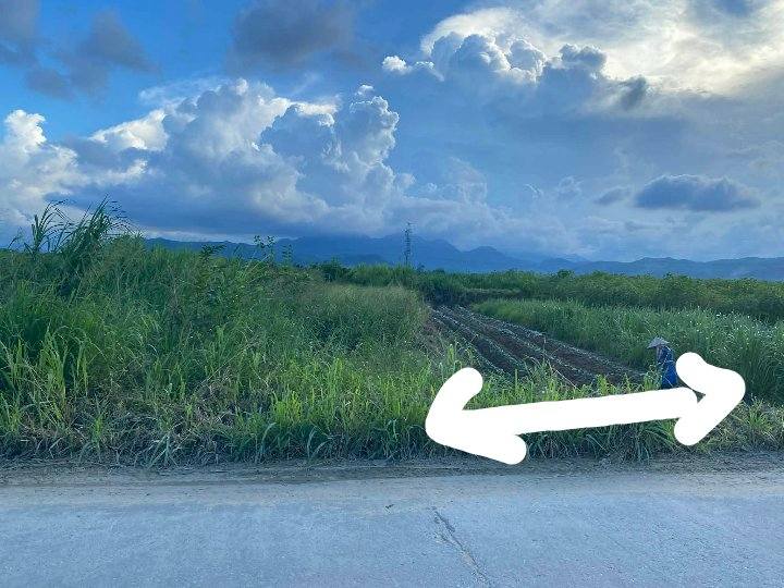 Đất nền Tư Nghĩa 252m² giá 97 triệu - Sổ đỏ chính chủ!