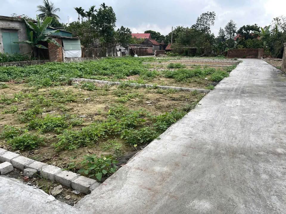 Đất nền Thụy Ninh Thái Thụy từ 70m² giá 300 triệu - Tiềm năng tăng giá!