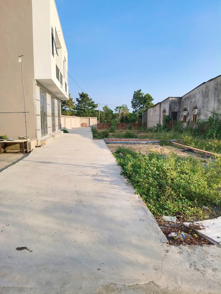 Đất Tân Bình Vĩnh Cửu 83m² - Sổ đỏ chính chủ, xây dựng tự do!