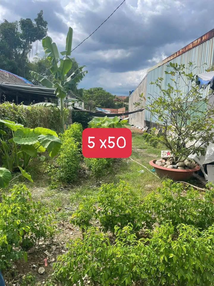 Đất nền Đức Lập Hạ 250m² – Sổ đỏ chính chủ, tiềm năng tăng giá