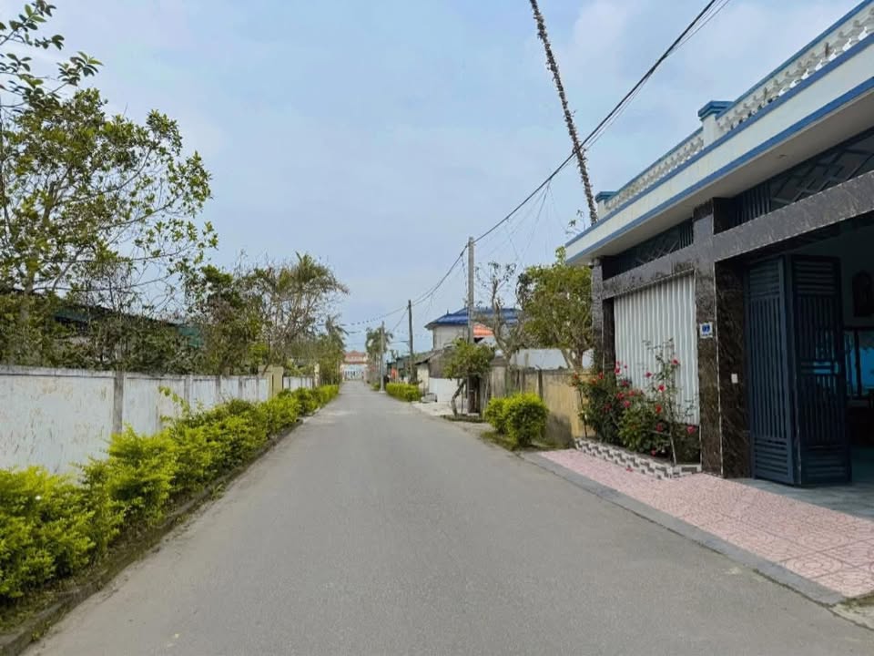 Đất nền Thạch Hạ 505m² - Sổ đỏ chính chủ, đường 8m rộng thoáng!