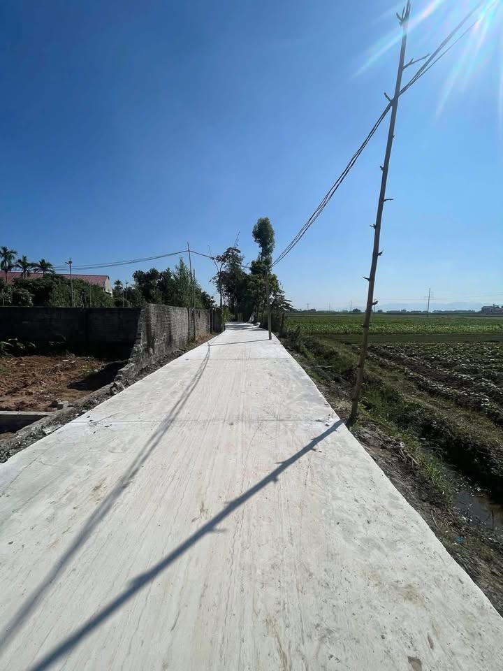 Bán đất Bảo Sơn Lục Nam 140m² giá 700 triệu - Pháp lý rõ ràng