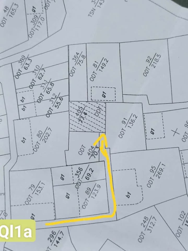 Đất nền Võ Cường 77m² tặng nhà cấp 4 - Sẵn sàng ở ngay!