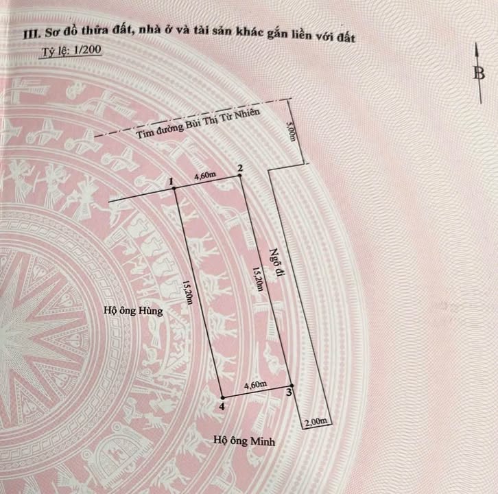 Nhà phố Bùi Thị Từ Nhiên 69m² - Lô góc kinh doanh đắc địa!