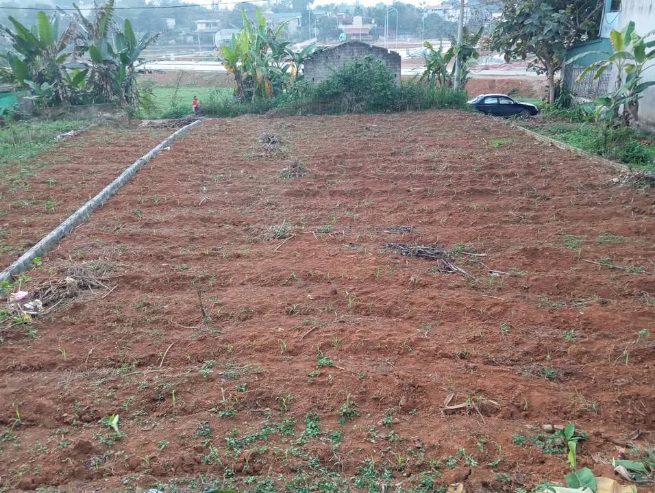 Đất nền An Tường 304m² - Sổ đỏ chính chủ - View hồ Trung Việt cực đẹp!