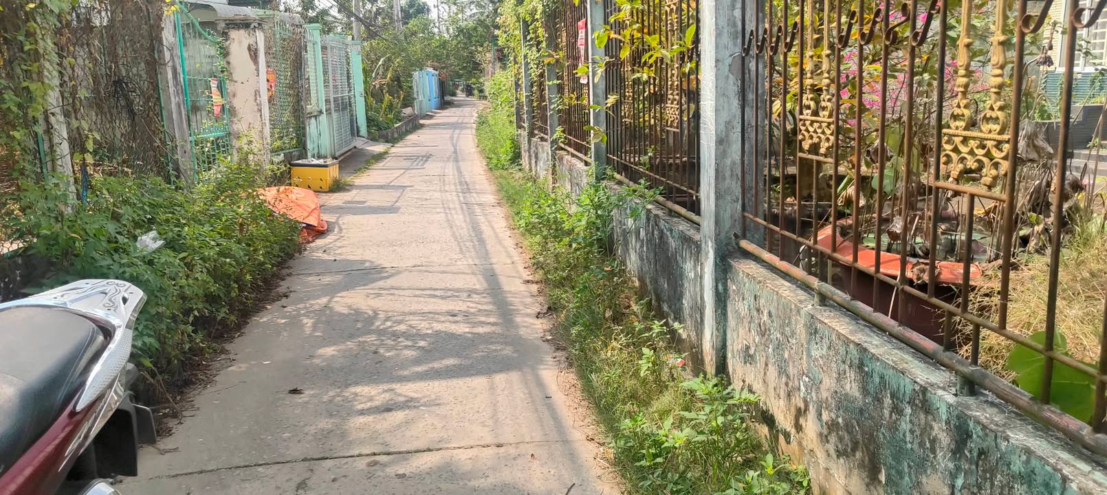 Đất Vườn Phường 3 Vĩnh Long 1.95 Tỷ - Gần ĐH Miền Tây 1800m²