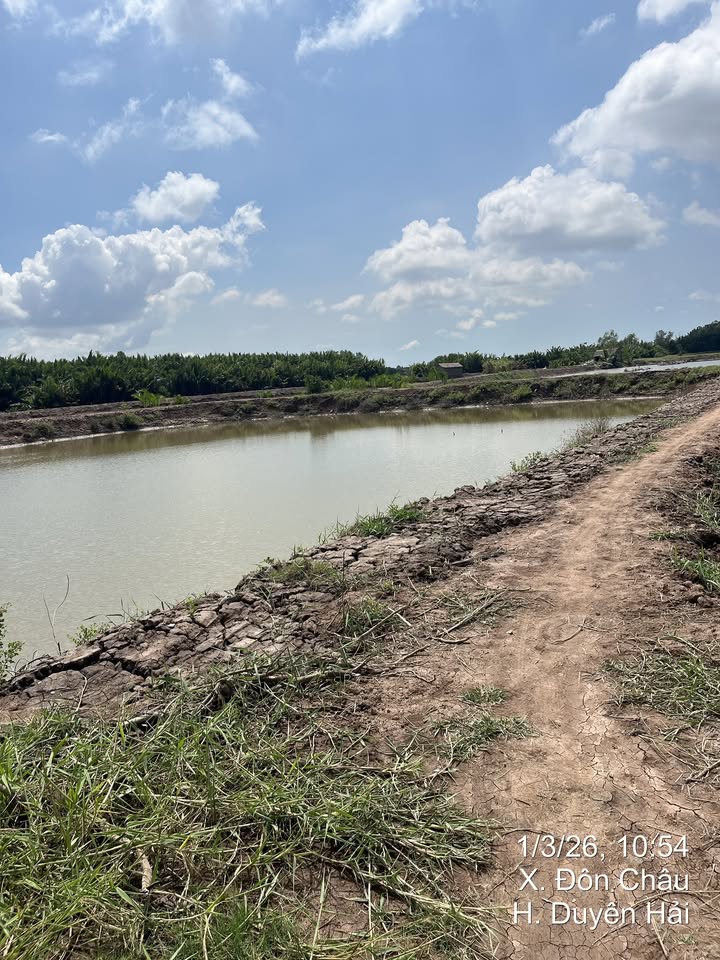 Đất Nuôi Trồng Thủy Sản Duyên Hải 30000m² - Tiềm năng tăng giá vượt trội!