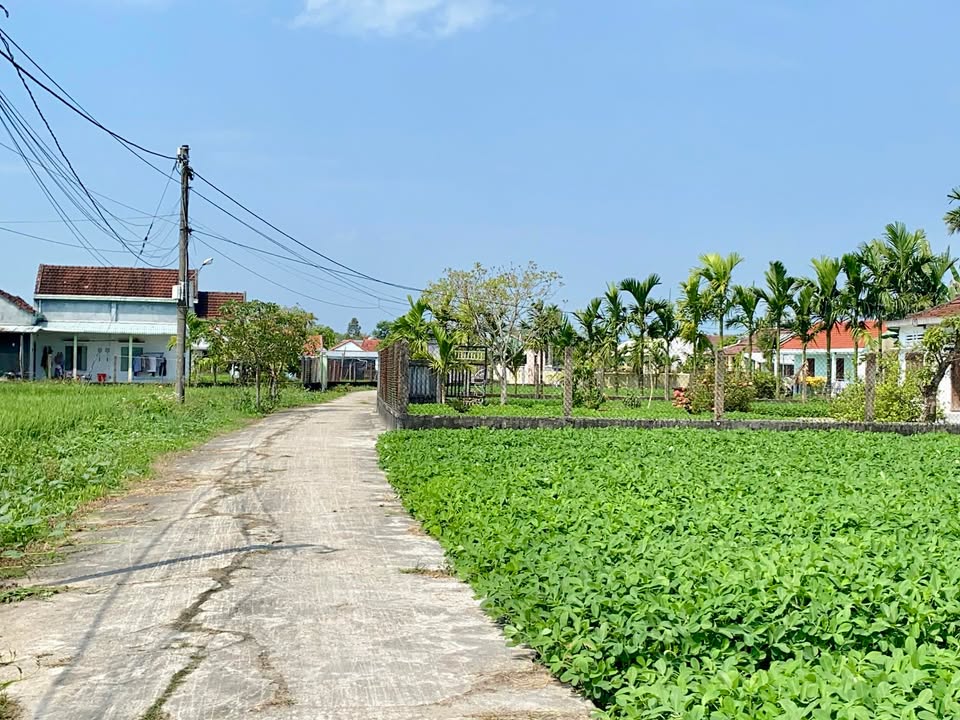 Đất Thăng Bình Quảng Nam - Lô Góc 750m² Sổ Hồng, Giá 8xx Tỷ