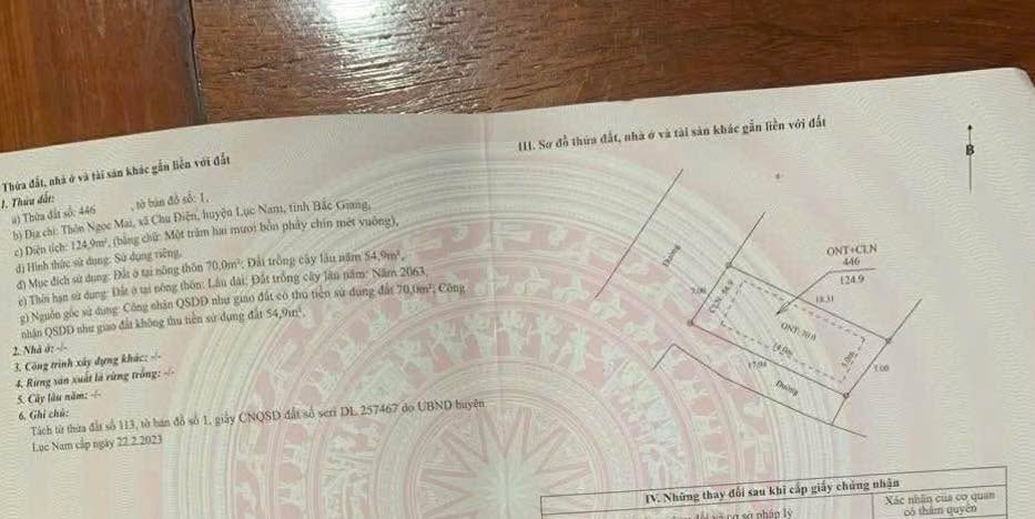 Đất nền Lục Nam 124m² - Sổ đỏ chính chủ, ô tô vào tận nơi!